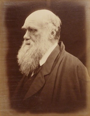 Charles Darwin by Julia Margaret Cameron albumen print, 1868 NPG P8 © National Portrait Gallery, London
