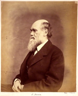 Charles Darwin by Ernest Edwards albumen print, 1865-1866 NPG x1500 © National Portrait Gallery, London 
